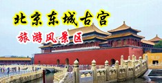 操乌克兰孕妇屁眼视频网站中国北京-东城古宫旅游风景区